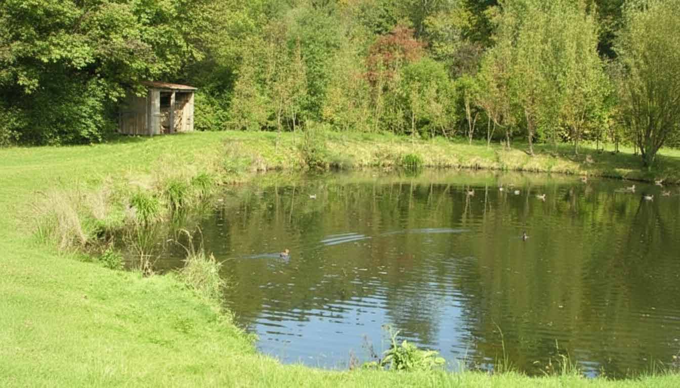 Teich am Ende der Kläranlage ohne technische Funktion